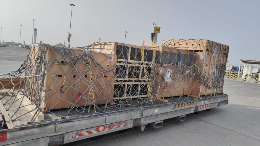 Skygate Services and Silkway West Execute Seamless Live Animal Transport Operation